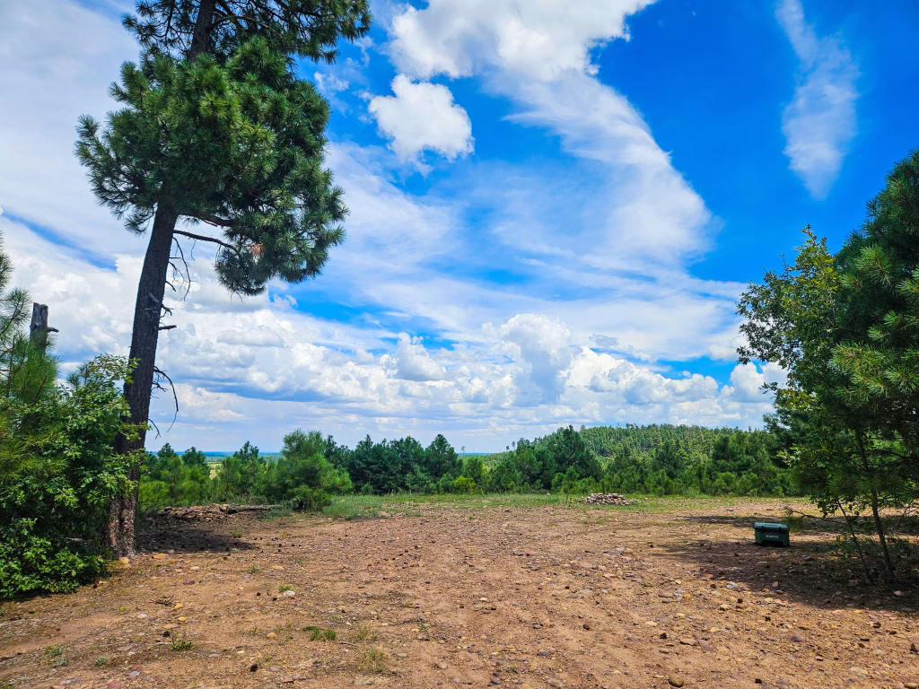 Mogollon Rim Dispersed Camping Site