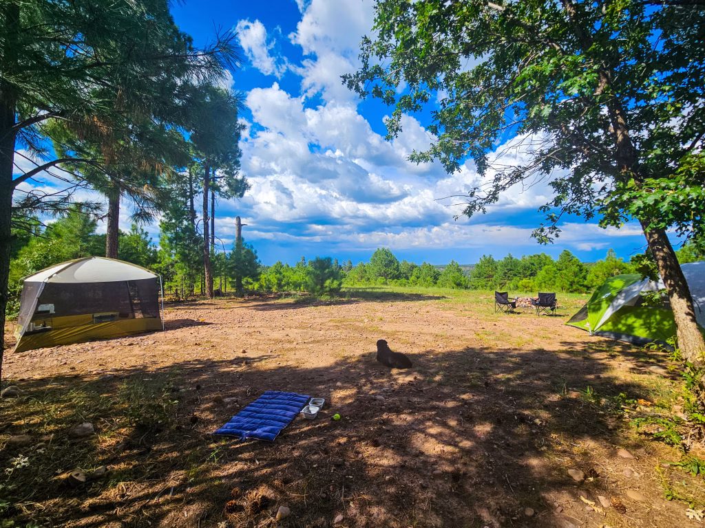 Mogollon Rim Camping