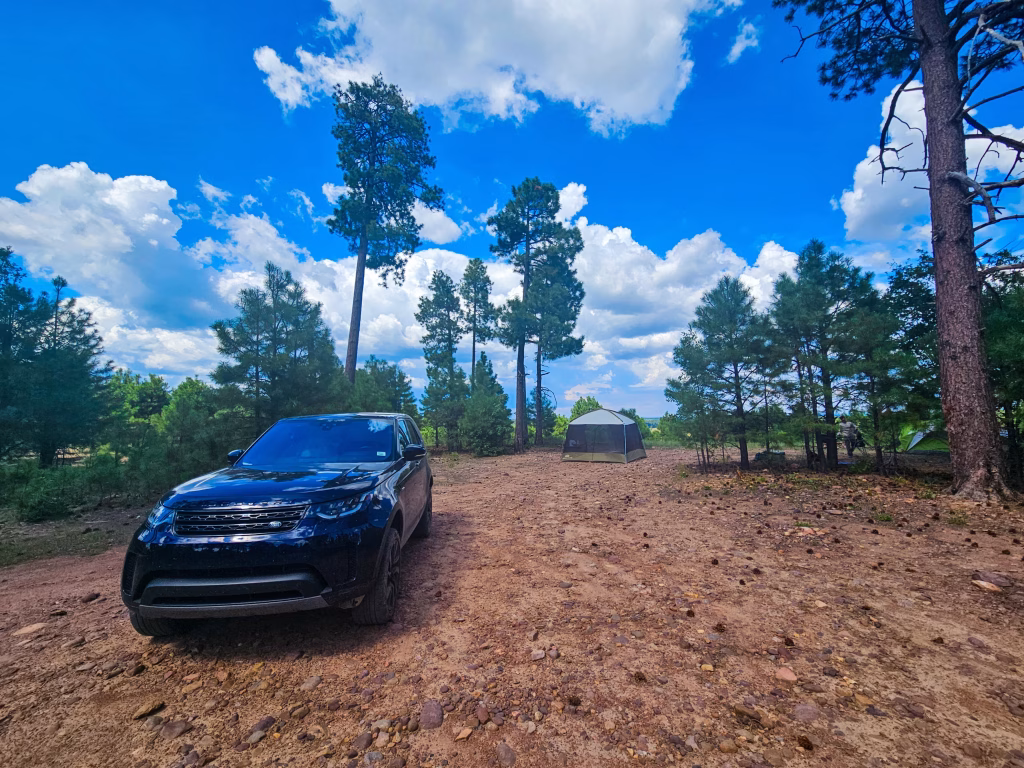 Mogollon Rim Dispersed Camping Site View of Privacy from Road